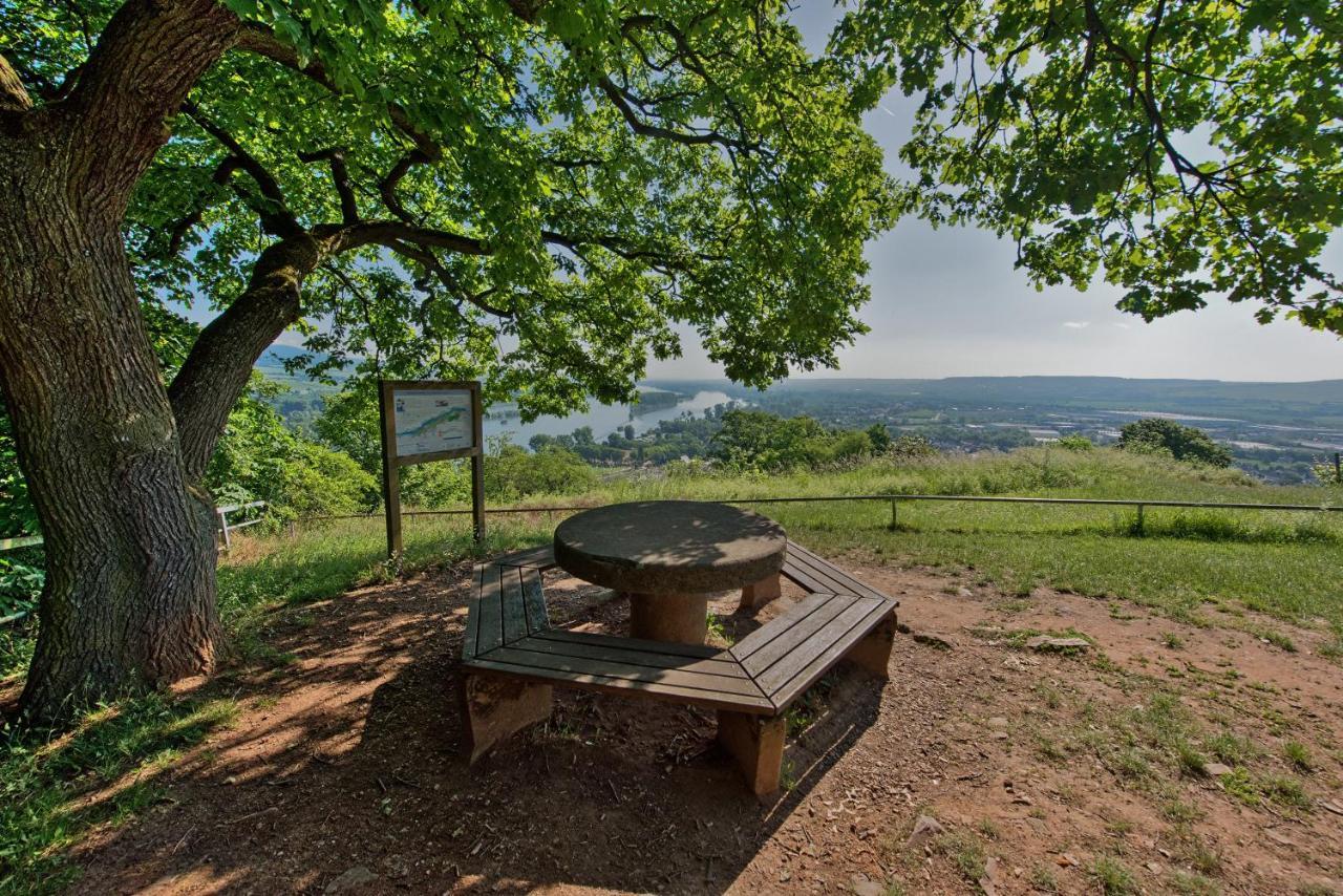 Gaestehaus Schmitt Appenheim Luaran gambar